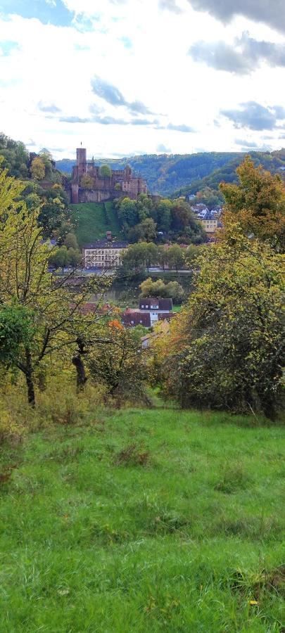 Fewo Traumblick Kreuzwertheim Екстер'єр фото